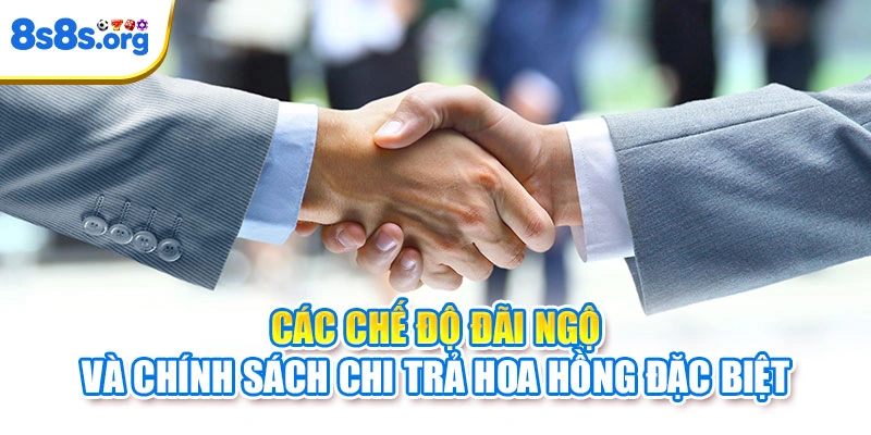Các chế độ đãi ngộ và chính sách chi trả hoa hồng đặc biệt
