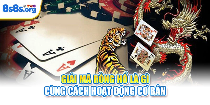Giải mã Rồng Hổ là gì cùng cách hoạt động cơ bản