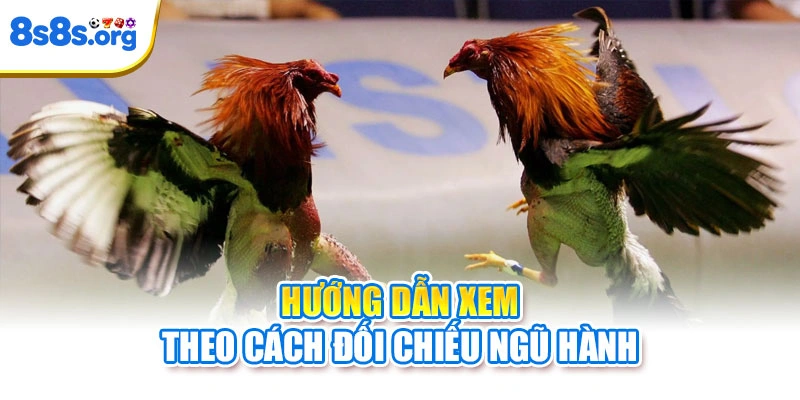 Hướng dẫn xem theo cách đối chiếu ngũ hành