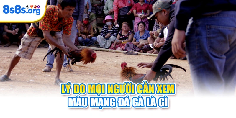 Lý do mọi người cần xem màu mạng đá gà là gì